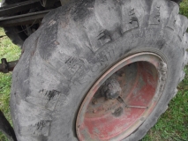 DSCF9736.JPG