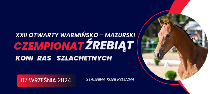 Czempionat