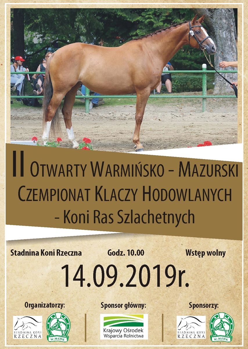 CZEMPIONAT klaczy 2019